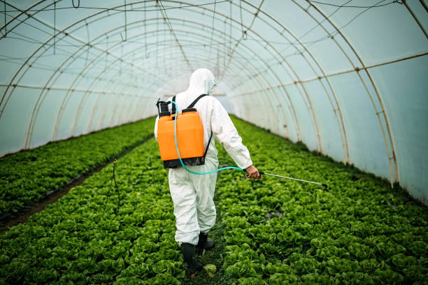 Best Pest Control Cost  in De Soto, MO