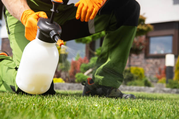 Trusted De Soto, MO Pest Control Experts