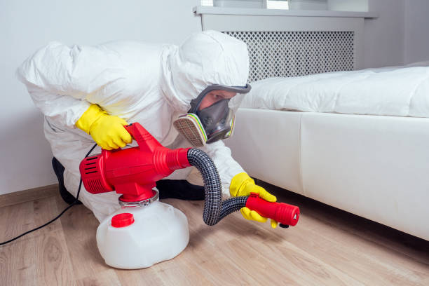Best Best Pest Control Companies  in De Soto, MO