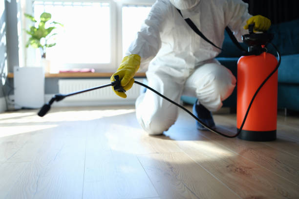 Flea Control Services in De Soto, MO