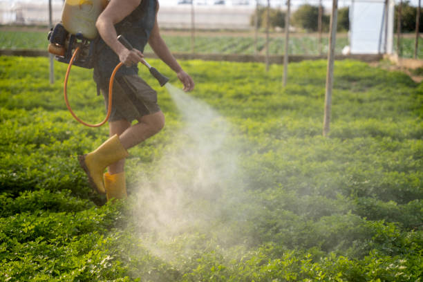 Best Pest Control Near Me  in De Soto, MO