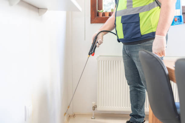 Best Rat Extermination Near Me  in De Soto, MO