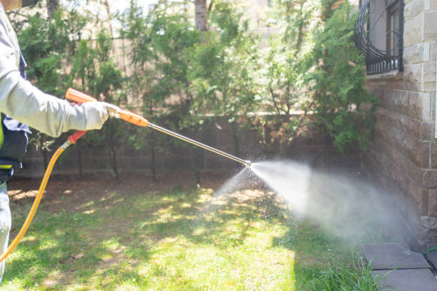 Pest Prevention Services in De Soto, MO