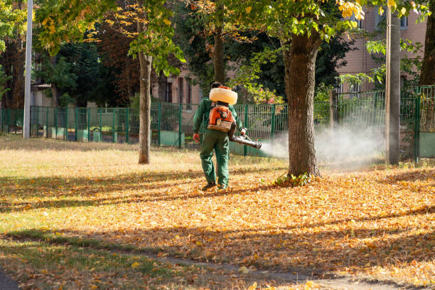 Pest Control Cost in De Soto, MO