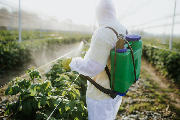  De Soto, MO Pest Control Pros
